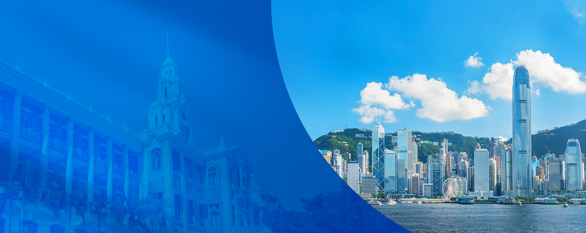 Master Your Global Career