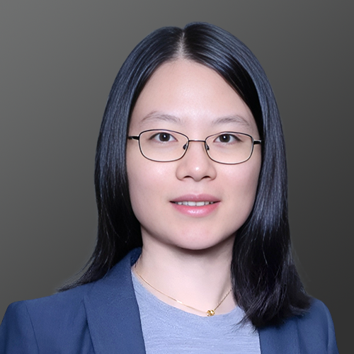 Prof. Yan XIONG